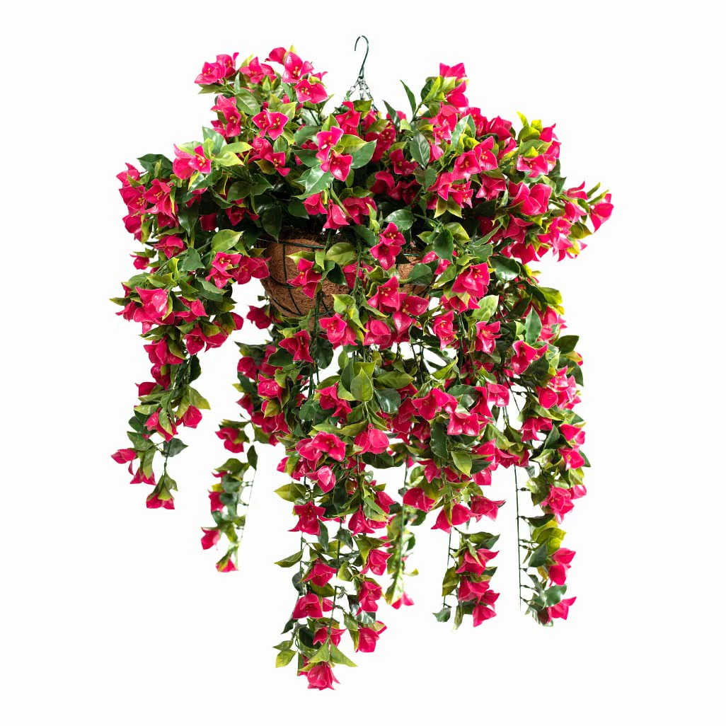 Hanging Baskets