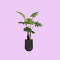Artimis S Black with Philodendron - 120cm