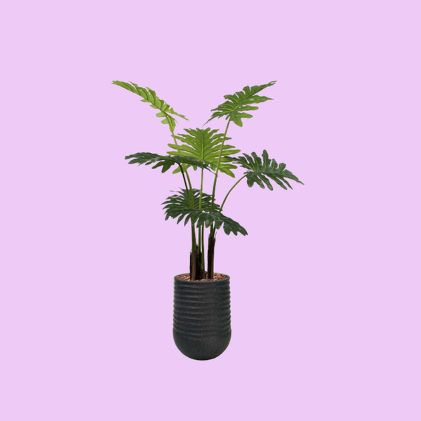 Artimis S Black with Philodendron - 120cm