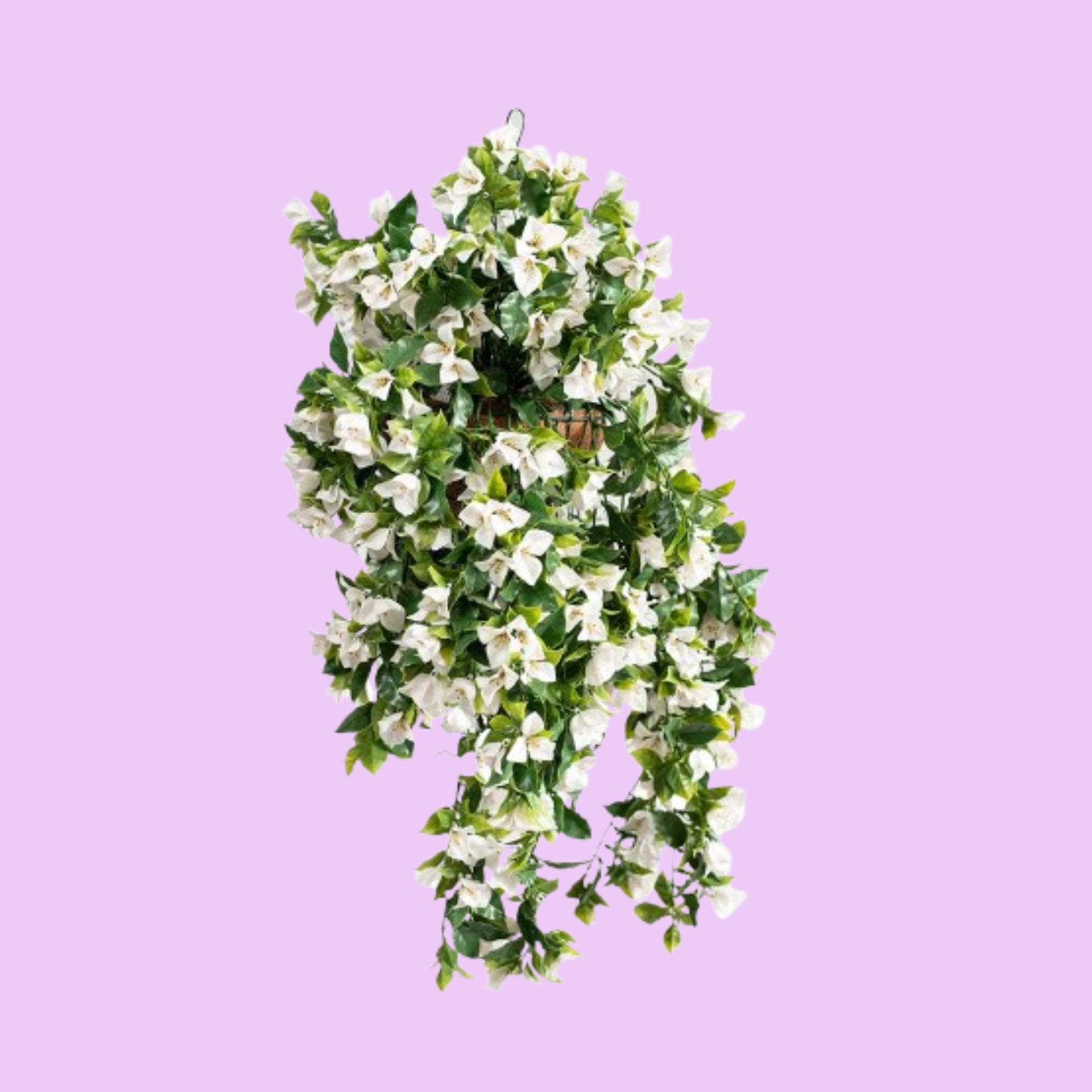 Hanging Basket L with Bougainvillea (W) UV - 92cm