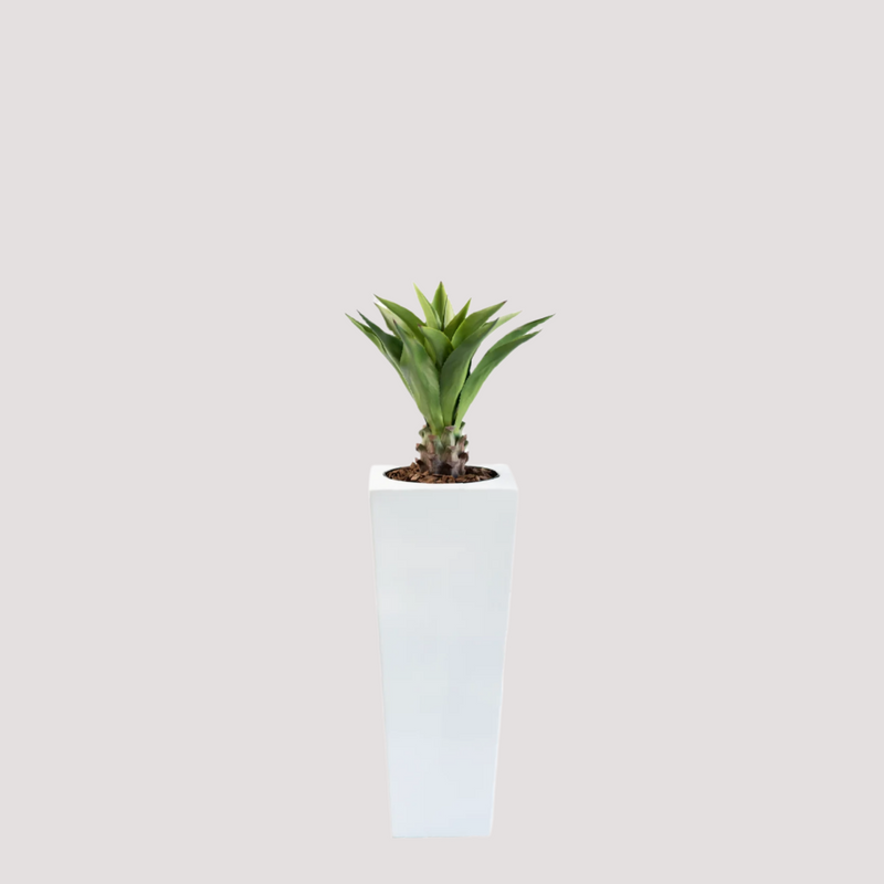 Armani B Pot with Agave Middle 90cm