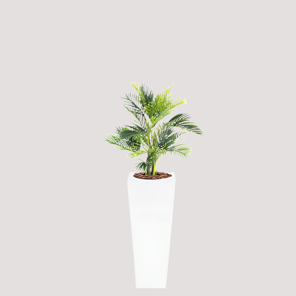 Armani B Pot with Areca 90cm