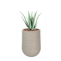 Artimis L Beige with Aloe - 70cm